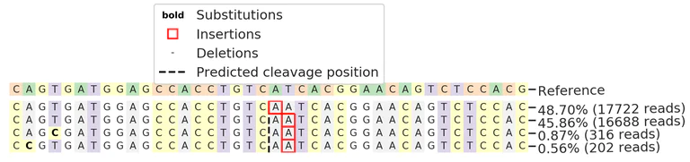 Next Generation Sequencing - Human L1CAM knockout HeLa cell line (AB273836)