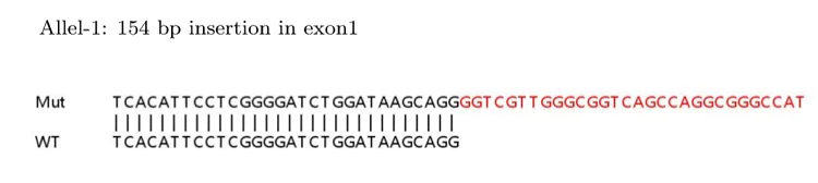 Sanger Sequencing - Human L1CAM knockout HeLa cell lysate (AB263786)