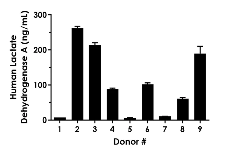 Sandwich ELISA - Human Lactate Dehydrogenase A (LDHA) ELISA Kit- Extracellular (AB323926)