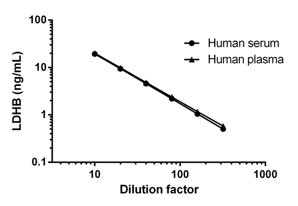 Sandwich ELISA - Human Lactate Dehydrogenase B / LDH-B ELISA Kit (ab183367), expandable thumbnail