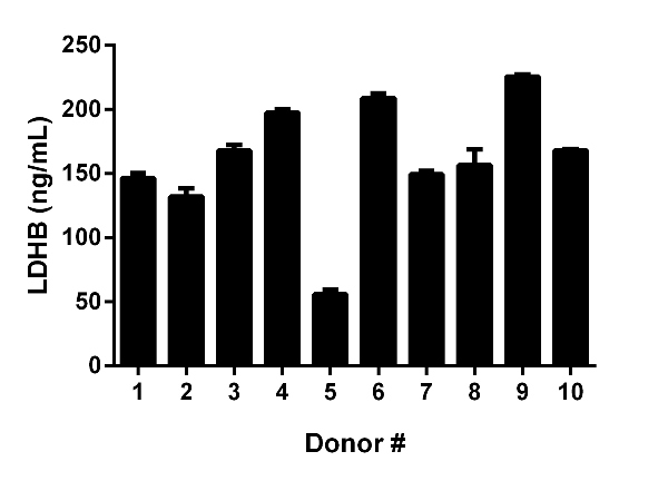 Sandwich ELISA - Human Lactate Dehydrogenase B / LDH-B ELISA Kit (ab183367), expandable thumbnail