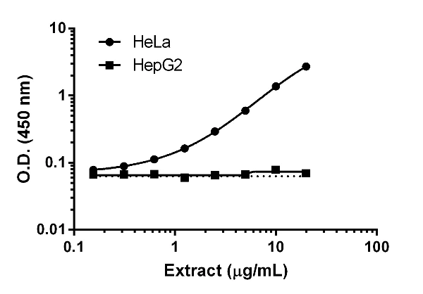 Sandwich ELISA - Human Lactate Dehydrogenase B / LDH-B ELISA Kit (AB183367)