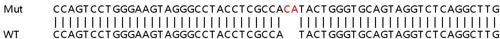 Sanger Sequencing - Human LAMB3 knockout HeLa cell line (AB265005), expandable thumbnail