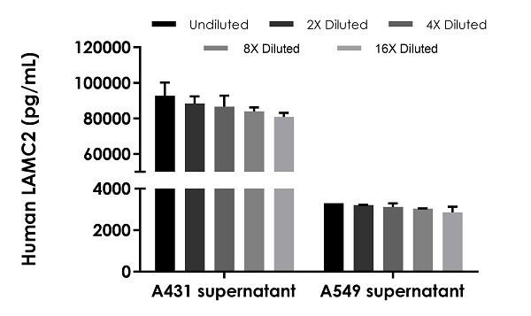 Sandwich ELISA - Human LAMC2 ELISA Kit (AB282301)