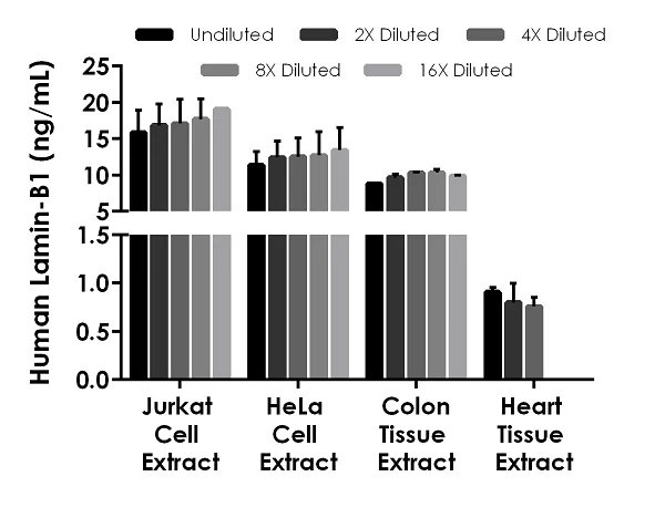 Sandwich ELISA - Human Lamin B1 ELISA Kit (AB252351)