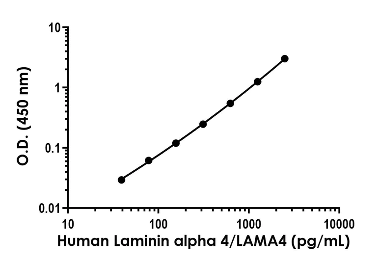 Sandwich ELISA - Human Laminin alpha 4/LAMA4 ELISA Kit (AB322374)