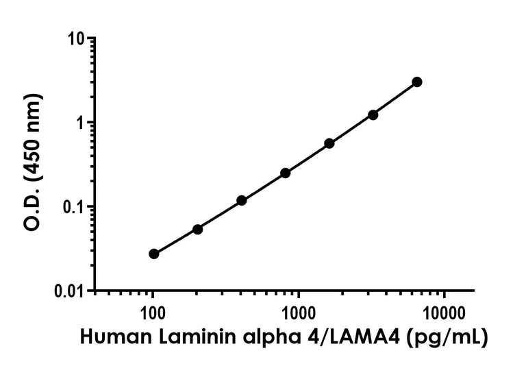 Sandwich ELISA - Human Laminin alpha 4/LAMA4 ELISA Kit (AB322374)