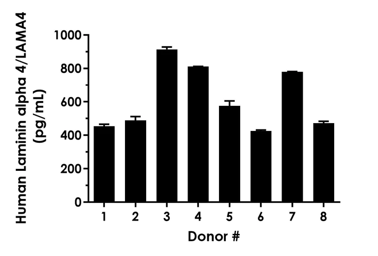 Sandwich ELISA - Human Laminin alpha 4/LAMA4 ELISA Kit (AB322374)