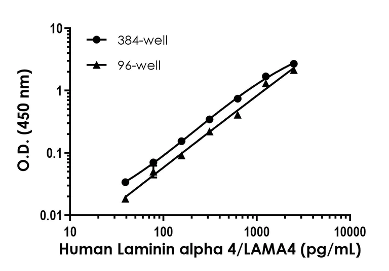Sandwich ELISA - Human Laminin alpha 4/LAMA4 ELISA Kit (AB322374)