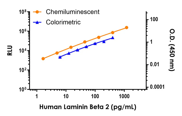 Sandwich ELISA - Human Laminin beta 2 ELISA Kit, Chemiluminescent (AB327295)