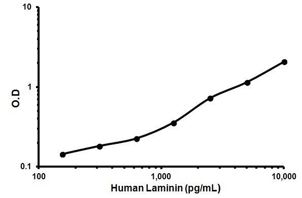 Sandwich ELISA - Human Laminin ELISA Kit (AB119599), expandable thumbnail