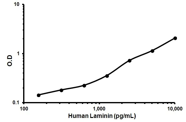 Sandwich ELISA - Human Laminin ELISA Kit (AB119599)