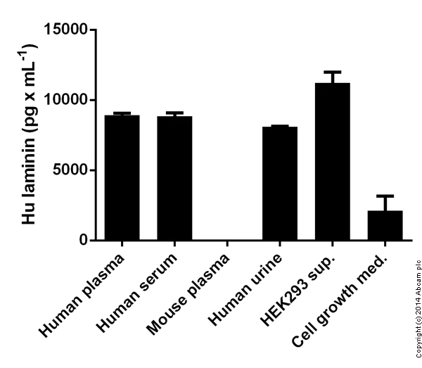 Sandwich ELISA - Human Laminin ELISA Kit (AB119599)