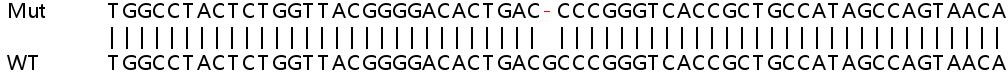 Sanger Sequencing - Human LAMTOR2 knockout HeLa cell lysate (AB258020), expandable thumbnail
