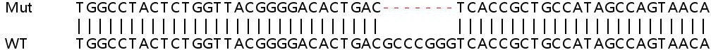 Sanger Sequencing - Human LAMTOR2 knockout HeLa cell lysate (AB258020), expandable thumbnail