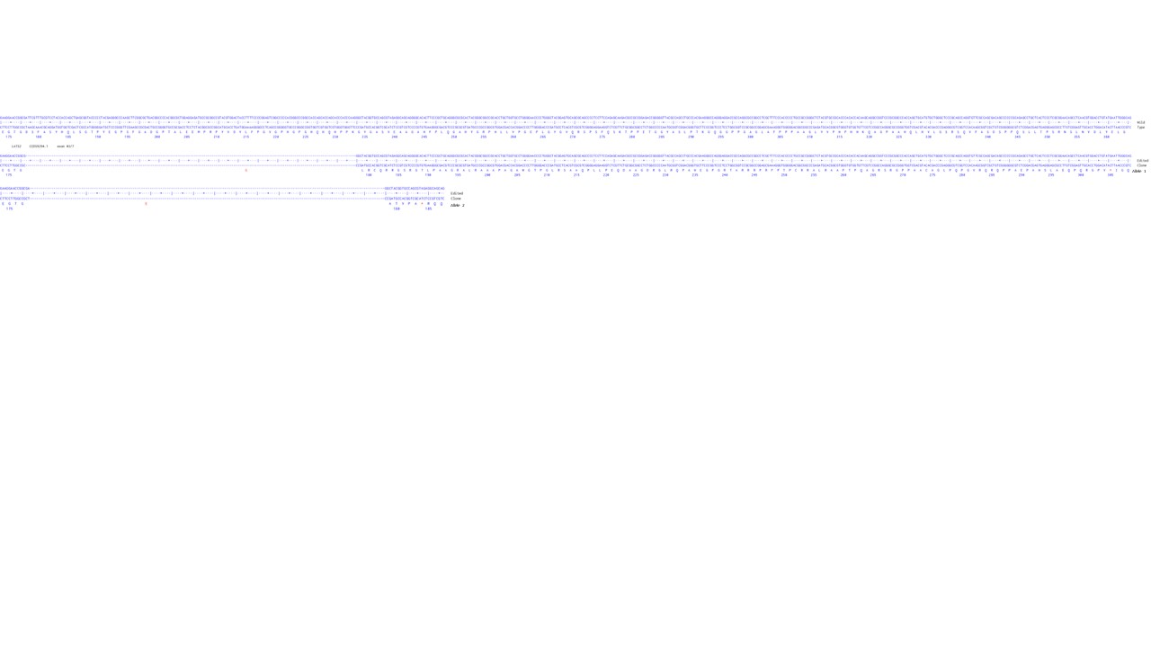 Next Generation Sequencing - Human LATS2 knockout HCT116 cell line (AB286564)