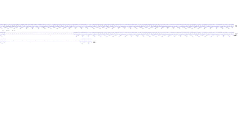 Next Generation Sequencing - Human LATS2 knockout HCT116 cell line (AB286564)