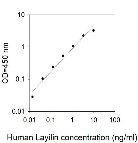 Sandwich ELISA - Human LAYN ELISA Kit (AB313981), expandable thumbnail