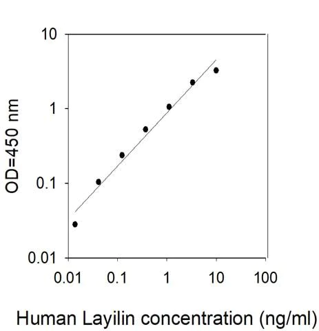 Sandwich ELISA - Human LAYN ELISA Kit (AB313981)