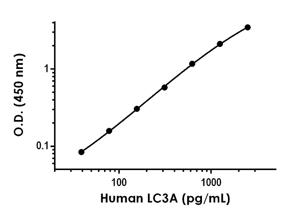Sandwich ELISA - Human LC3A Antibody Pair - BSA and Azide free (AB244175), expandable thumbnail