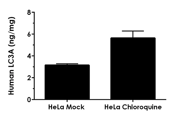 Sandwich ELISA - Human LC3A ELISA Kit (AB239432)