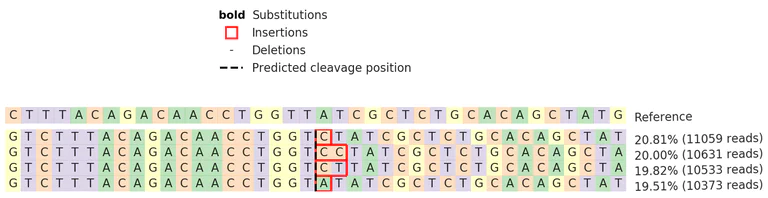 Next Generation Sequencing - Human LCK knockout Jurkat cell lysate (AB273809)