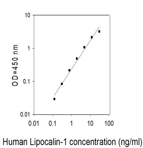 Sandwich ELISA - Human LCN1 ELISA Kit (AB313984)