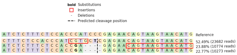 Next Generation Sequencing - Human LEF1 knockout Jurkat cell line (AB274898)