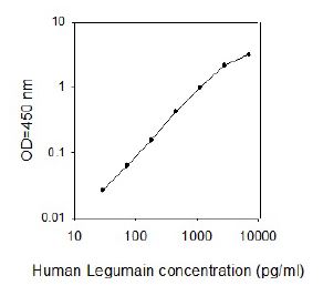 Sandwich ELISA - Human Legumain ELISA Kit (AB267603)