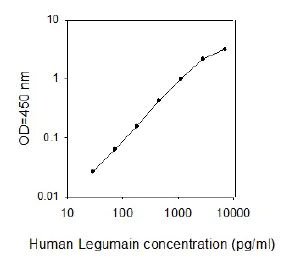 Sandwich ELISA - Human Legumain ELISA Kit (AB267603)