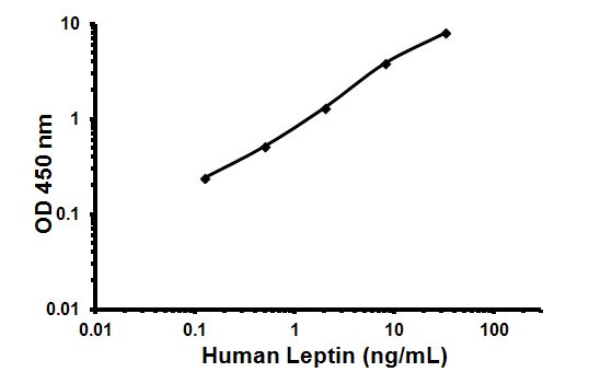 Sandwich ELISA - Human Leptin ELISA Kit (AB108879), expandable thumbnail