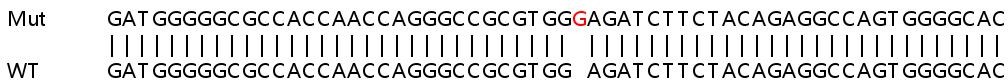 Sanger Sequencing - Human LGALS3BP knockout HEK-293T cell line (AB266520), expandable thumbnail