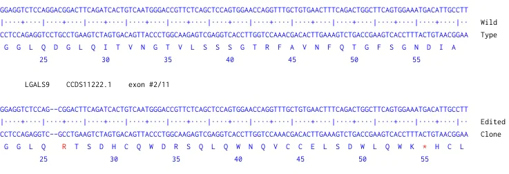 Next Generation Sequencing - Human Lgals9 (galectin 9/Gal-9) knockout THP-1 cell line (AB269505)