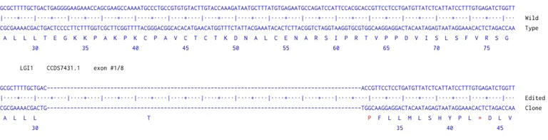 Next Generation Sequencing - Human LGI1 knockout U-87 MG cell line (AB306721)
