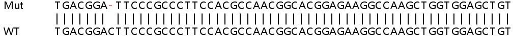 Human LIF knockout HeLa cell line