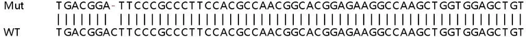 Sanger Sequencing - Human LIF knockout HeLa cell line (AB264737)