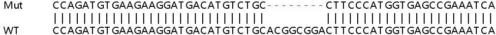 Sanger Sequencing - Human LIMCH1 knockout HeLa cell line (AB266044)