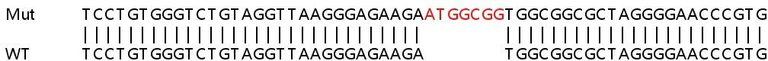 Sanger Sequencing - Human LIN7C knockout HeLa cell lysate (AB258942)