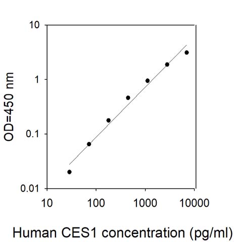 Sandwich ELISA - Human Liver Carboxylesterase 1/CES1 ELISA Kit (AB309391)