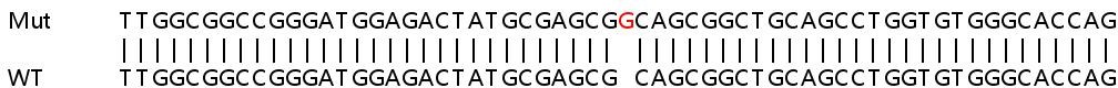 Sanger Sequencing - Human LIX1L knockout HeLa cell line (AB265950)