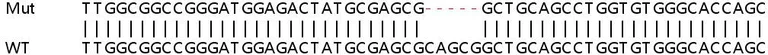Sanger Sequencing - Human LIX1L knockout HeLa cell lysate (AB258943)