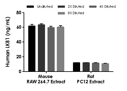 Sandwich ELISA - Human LKB1 ELISA Kit (AB233612)