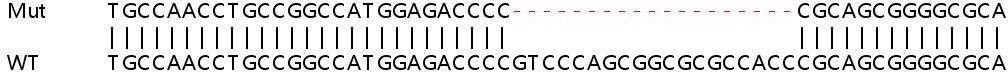 Sanger Sequencing - Human LMNA (Lamin A) knockout HeLa cell line (AB261787), expandable thumbnail