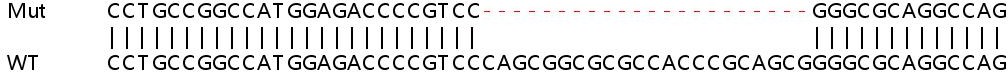 Sanger Sequencing - Human LMNA (Lamin A) knockout HeLa cell line (AB261787), expandable thumbnail