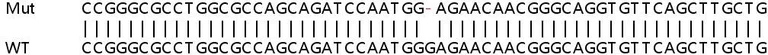 Sanger Sequencing - Human LOX knockout HeLa cell line (AB261801)