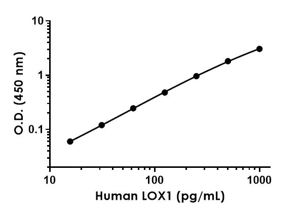 Sandwich ELISA - Human LOX1 ELISA Kit (AB212161)