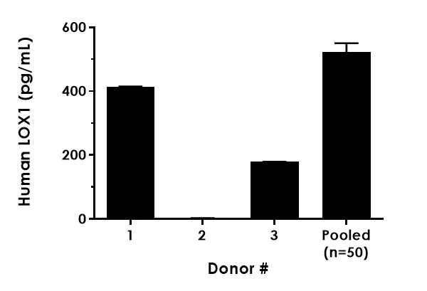 Sandwich ELISA - Human LOX1 ELISA Kit (AB212161)