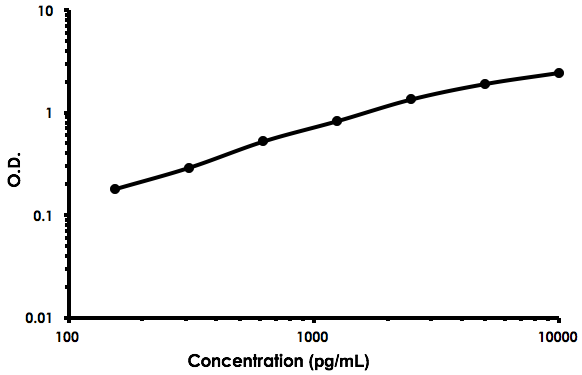 Sandwich ELISA - Human LOXL2 ELISA Kit (AB213808)