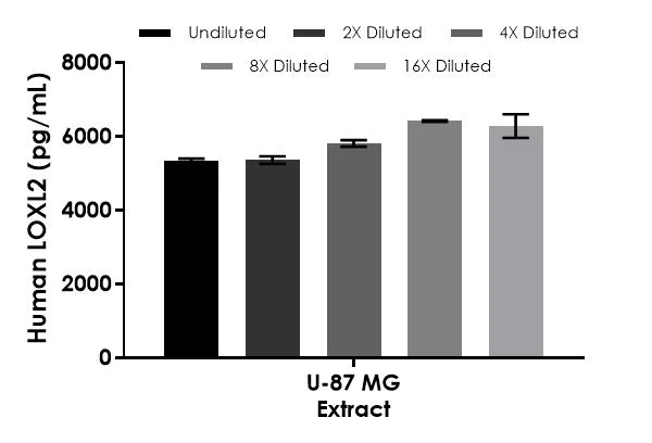 Sandwich ELISA - Human LOXL2 ELISA Kit (AB275893)