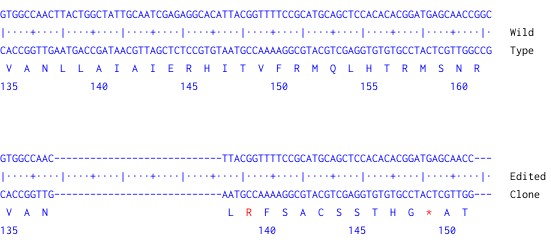 Next Generation Sequencing - Human LPAR1 knockout A549  cell line (AB301046), expandable thumbnail